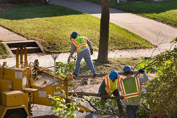 Best Tree and Shrub Care  in Geneva, WA